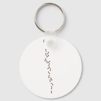ants keychain