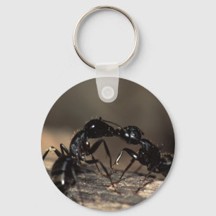ants keychain