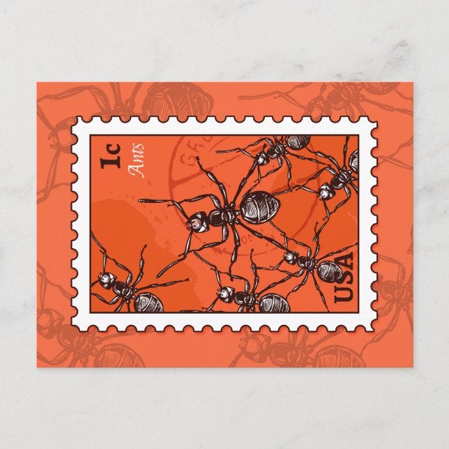 Ants Postcard (Front)