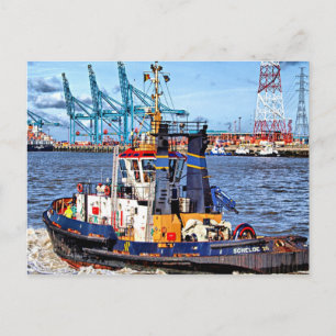 Antwerp, Belgium scenic photograph Postcard