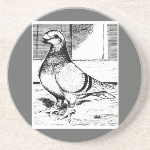 Antwerp Long Faced Pigeon 1980 Coaster