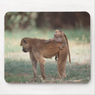 Anubis Baboon Mouse Pad