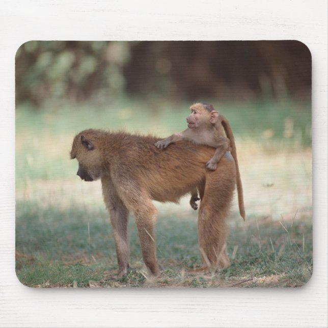 Anubis Baboon Mouse Pad (Front)