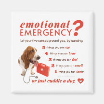 Anxiety - 54321 Countdown - Doctor Dog - Bassett