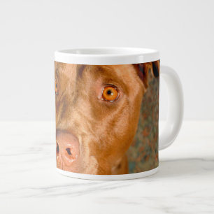 Anxious Chocolate Lab Pit Mix Dog Large Coffee Mug