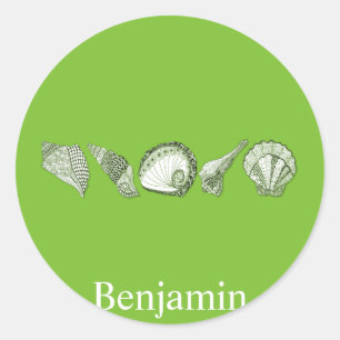 Any Colour Hand Drawn Seashells Classic Round Sticker