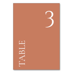 ANY NUMBER Minimal Terracotta Wedding Table Number