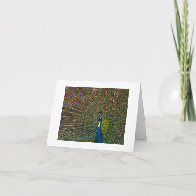 Any Occasion Cards (Front)