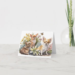 Any Occasion Chihuahua Greeting Card