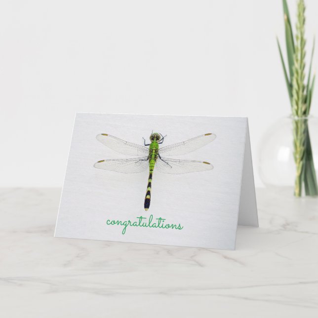 Any Occasion Congratulations with Dragonfly Card (Front)