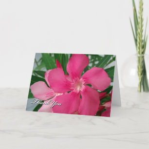 Any Occasion Thank You Pink Oleander Flowers Card