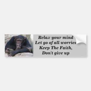 Any Occasions_ Bumper Sticker