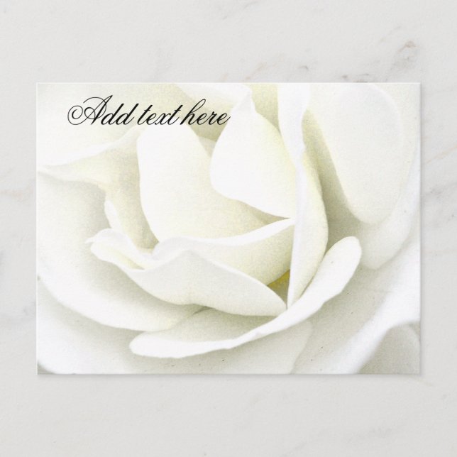 Any Occasions_ Postcard (Front)