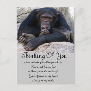 Any Occasions_ Postcard