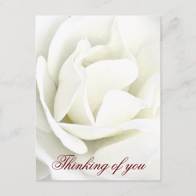 Any Occasions_ Postcard (Front)