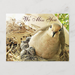 Any-Occasions_ Postcard