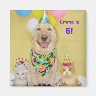 Any year birthday magnet