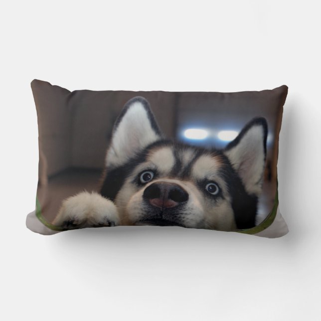 Anybody Out There? Lumbar Pillow (Front)