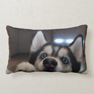 Anybody Out There? Lumbar Pillow