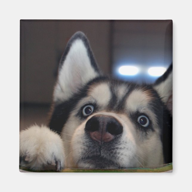 Anybody Out There? Magnet (Front)