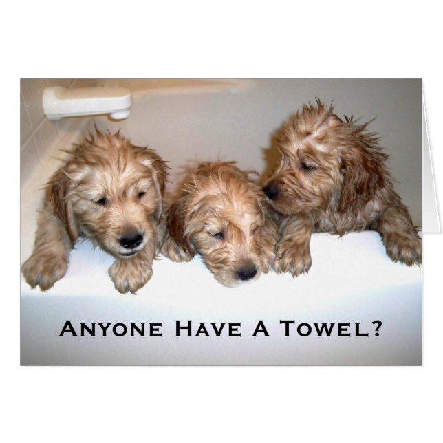 Anyone Have A Towel? (Front Horizontal)