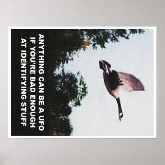 Anything can be a UFO (medium) Poster
