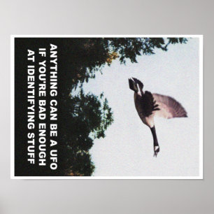 Anything can be a UFO (small) Poster