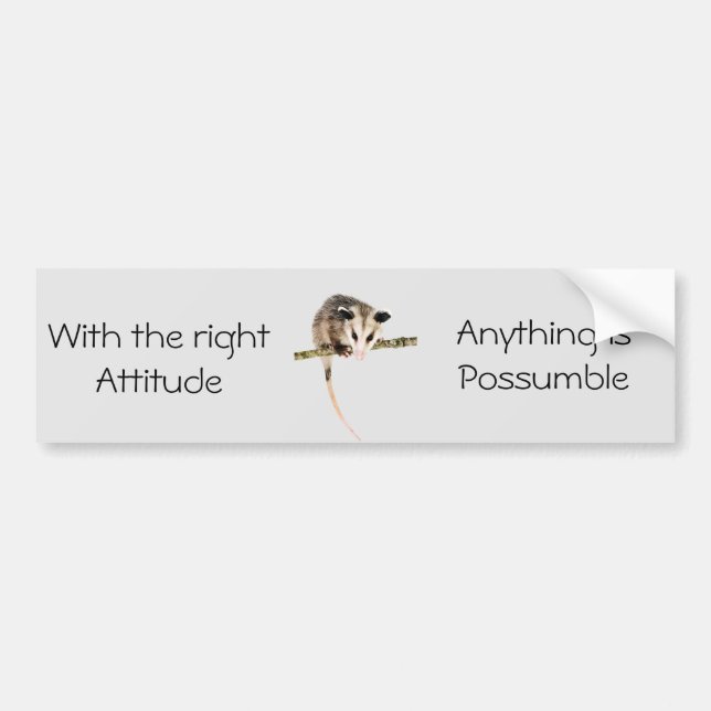 Anything is Possumble bumper sticker (Front)