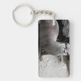 Aonyx cinerea keychain