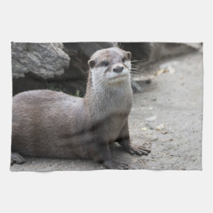 Aonyx cinerea kitchen towel