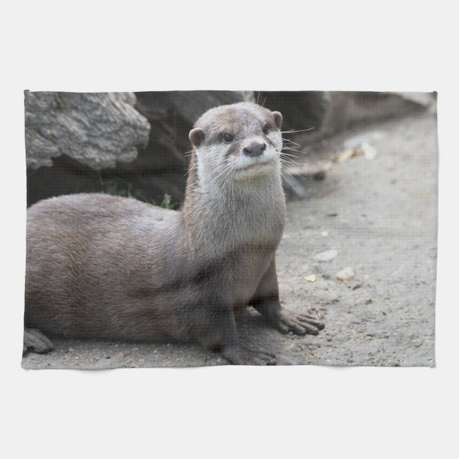 Aonyx cinerea kitchen towel (Horizontal)