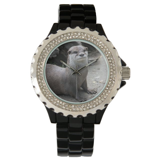 Aonyx cinerea watch (Front)