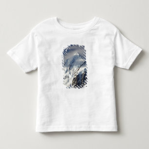 Aoraki Mount Cook, Mackenzie Country, South Toddler T-shirt