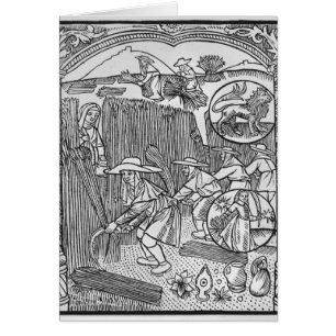 Août, moissonnant, Lion