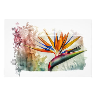 *~* AP10 Bird of Paradise Art Painting #18 Photo Print