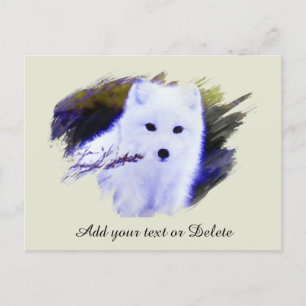 *~* AP18 Polar Twig Fox White Snow Fox Arctic  Postcard