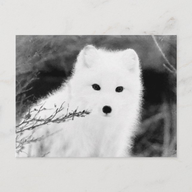 *~* AP18 Twig Fox White Snow Fox Arctic Polar Postcard (Front)