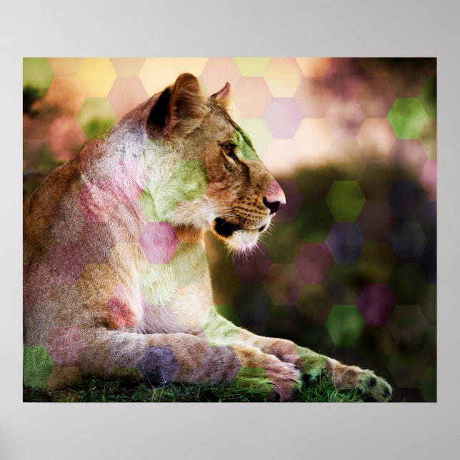 *~* AP23 Artistic RAINBOW Abstract LIONESS Art Poster (Front)
