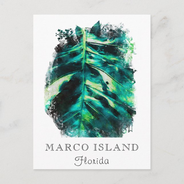 *~* AP25 Personalize Tropical Palm Leaf Travel  Postcard (Front)