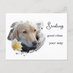 *~* AP61 Good Vibes Lab Retriever Flower  Postcard
