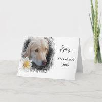 *~* AP61 Sad Lab Retriever Flower Message