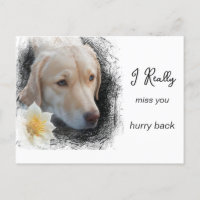 *~ AP61 Sad Short Hair Dog Flower Miss You