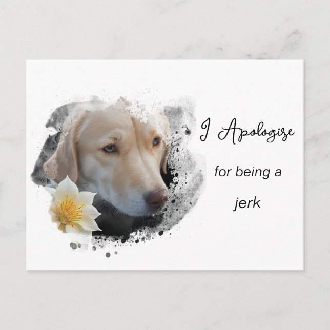 *~* AP61  Sad Tan Dog Apologize Caring Flower  Postcard (Front)