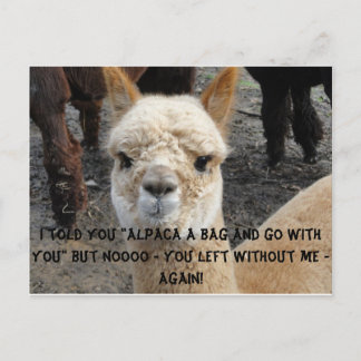 Apaca bag postcard