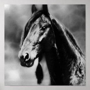 Apache horses poster