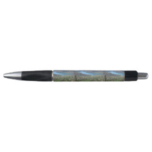 Apache Lake View Pen
