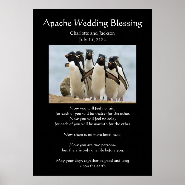 Apache Wedding Blessing Penguins Poster (Front)