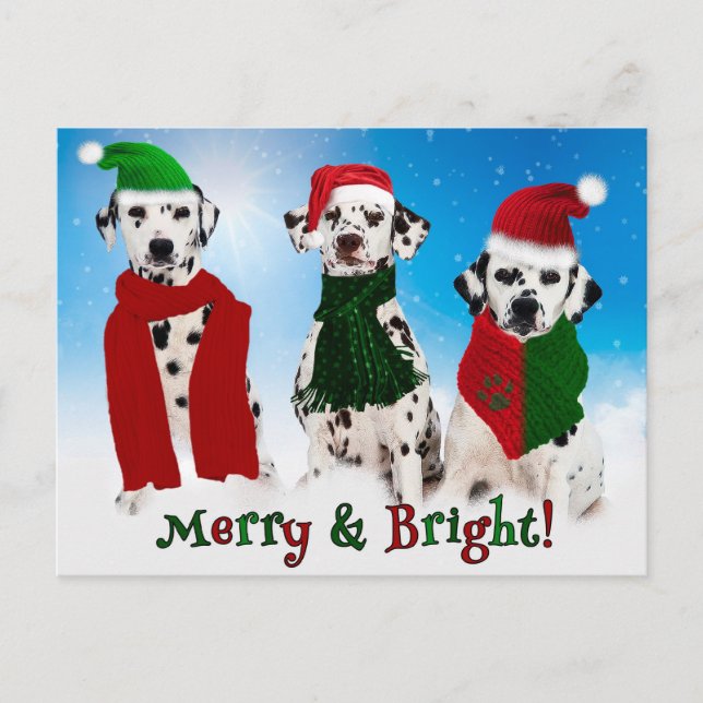 APAL - Christmas Dalmatian Dogs Holiday Postcard (Front)