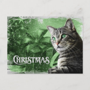 APAL - Christmas Silver Tabby Cat Holiday Postcard