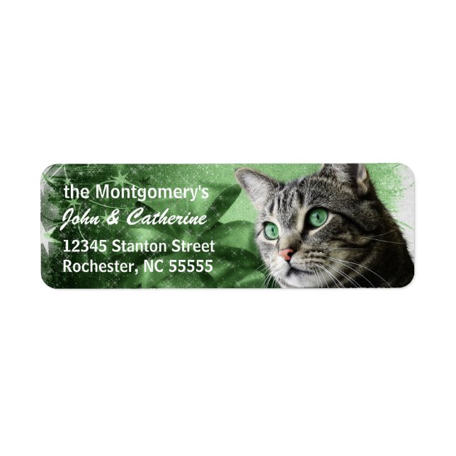 APAL - Tabby Argent Chat avec Vert saisonnier (Devant)